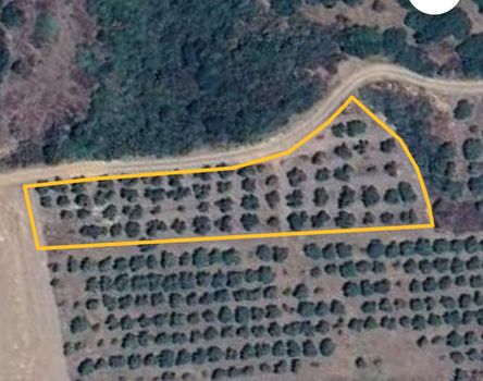 Parcel 3.000sqm for sale-Leianokladi » Stirfaka