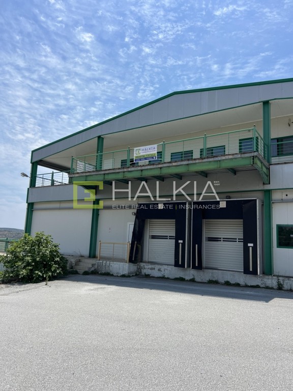 Βιομηχανικός χώρος 2.140 τ.μ. πρός πώληση, Μαγνησία, Αισωνία