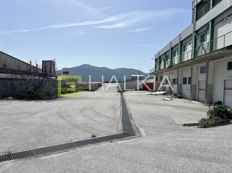Βιομηχανικός χώρος 2.140 τ.μ. πρός πώληση, Μαγνησία, Αισωνία
