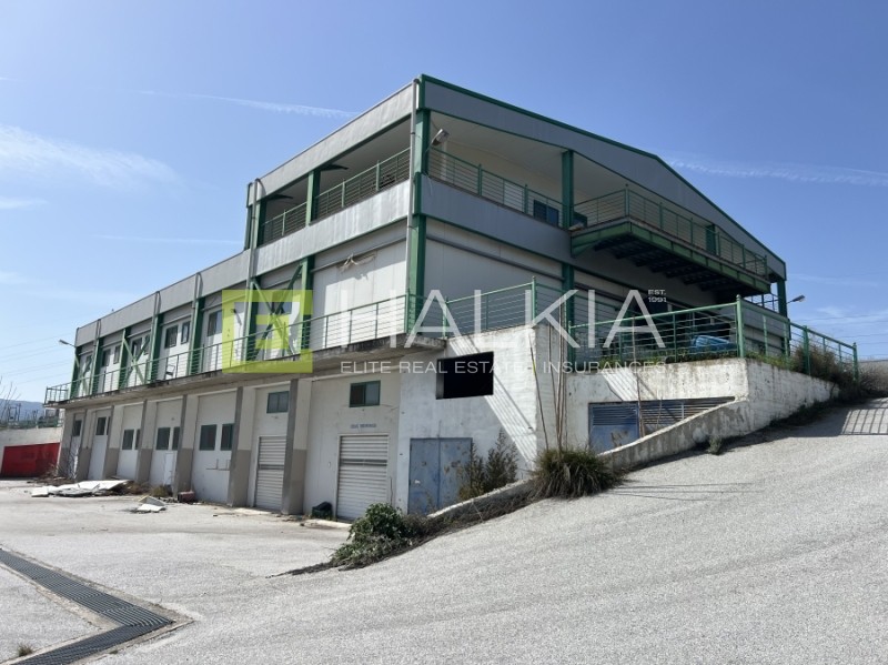 Βιομηχανικός χώρος 2.140 τ.μ. πρός πώληση, Μαγνησία, Αισωνία