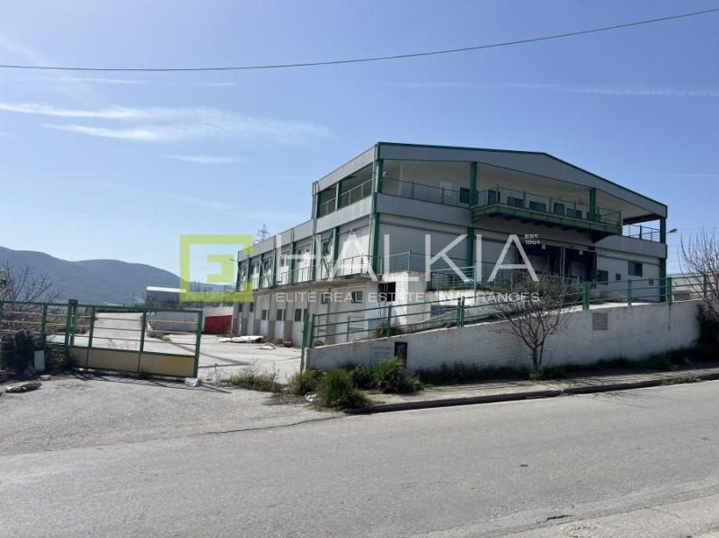 Βιομηχανικός χώρος 2.140 τ.μ. πρός πώληση, Μαγνησία, Αισωνία