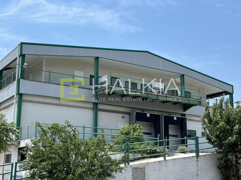 Βιομηχανικός χώρος 2.140 τ.μ. πρός πώληση, Μαγνησία, Αισωνία