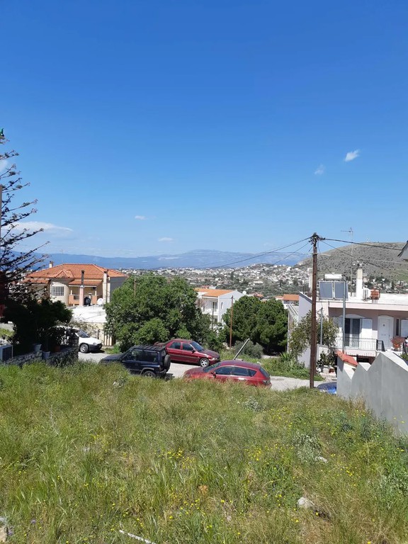 Οικόπεδο 252 τ.μ. προς πώληση, Δοκός Χαλκίδας