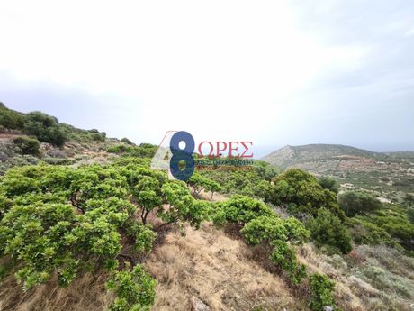 Land plot 5.288sqm for sale-Chios » Mastichochoria