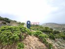 Οικόπεδο 5.288τ.μ. για πώληση-Χίος » Μαστιχοχώρια