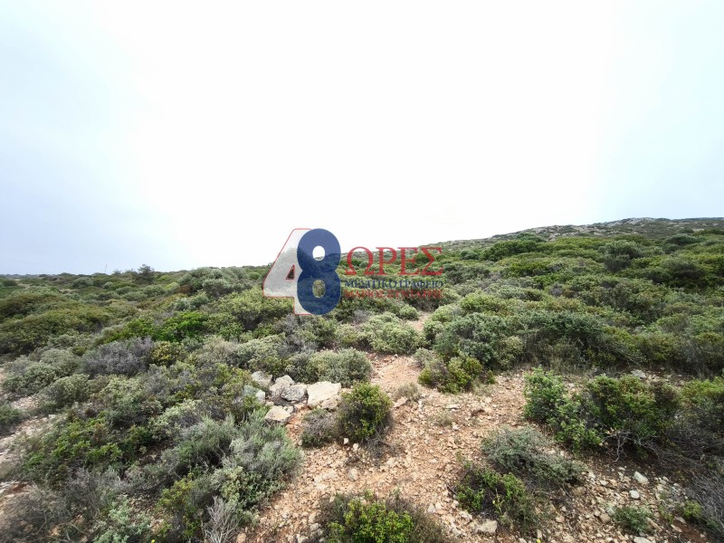 Οικόπεδο 5.288 τ.μ. προς πώληση, Μαστιχοχώρια