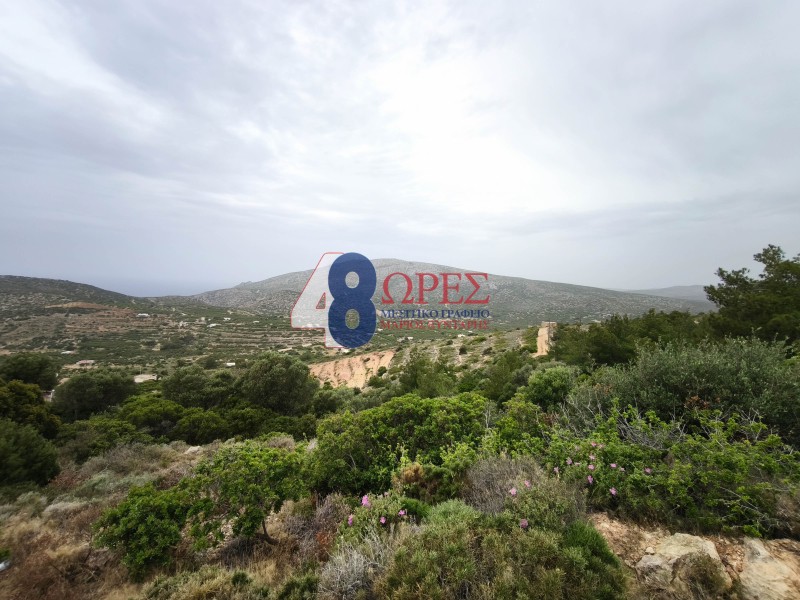Οικόπεδο 5.288 τ.μ. προς πώληση, Μαστιχοχώρια