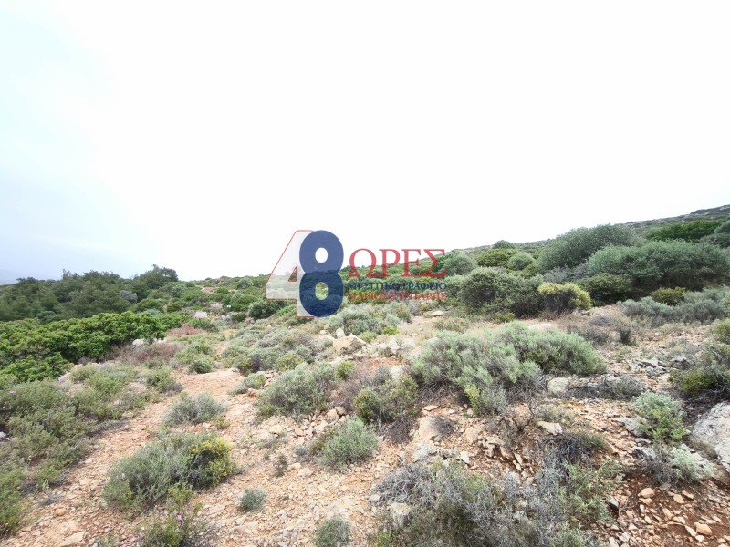 Οικόπεδο 5.288 τ.μ. προς πώληση, Μαστιχοχώρια