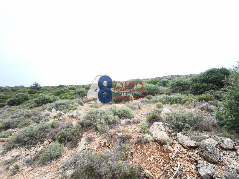 Οικόπεδο 5.288 τ.μ. προς πώληση, Μαστιχοχώρια