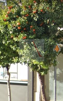 Κατάστημα 38 τ.μ. για ενοικίαση