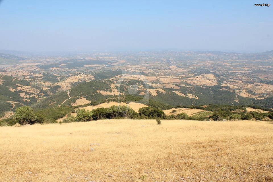 Αγροτεμάχια 29.000 τ.μ. προς πώληση, Αχαΐα, Φαρές