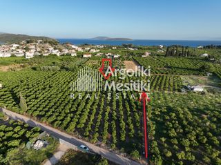 Αγροτεμάχια 5.000 τ.μ. για πώληση, Αργολίδα, Ασίνη-thumb-1