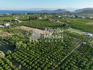 Αγροτεμάχια 5.000 τ.μ. για πώληση, Αργολίδα, Ασίνη-thumb-8