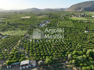 Αγροτεμάχια 5.000 τ.μ. για πώληση, Αργολίδα, Ασίνη-thumb-13