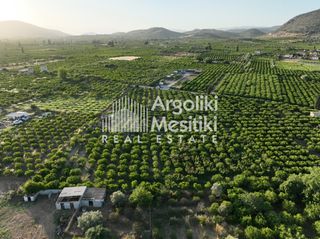 Αγροτεμάχια 5.000 τ.μ. για πώληση, Αργολίδα, Ασίνη-thumb-14