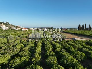 Αγροτεμάχια 5.000 τ.μ. για πώληση, Αργολίδα, Ασίνη-thumb-18