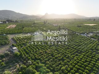 Αγροτεμάχια 5.000 τ.μ. για πώληση, Αργολίδα, Ασίνη-thumb-15