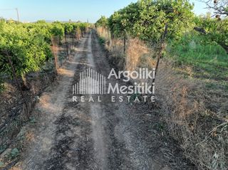 Αγροτεμάχια 5.000 τ.μ. για πώληση, Αργολίδα, Ασίνη-thumb-22