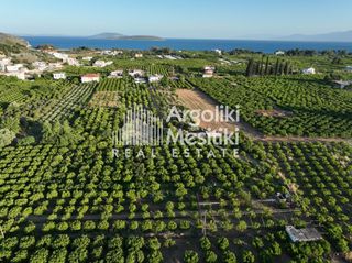 Αγροτεμάχια 5.000 τ.μ. για πώληση, Αργολίδα, Ασίνη-thumb-10