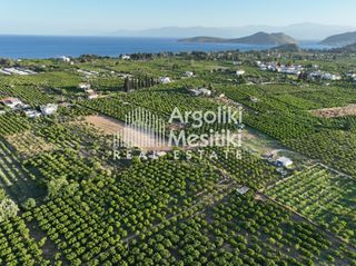 Αγροτεμάχια 5.000 τ.μ. για πώληση, Αργολίδα, Ασίνη-thumb-24