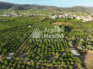 Αγροτεμάχια 5.000 τ.μ. για πώληση, Αργολίδα, Ασίνη-thumb-12