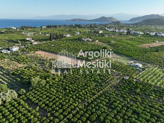 Αγροτεμάχια 5.000 τ.μ. για πώληση, Αργολίδα, Ασίνη-thumb-7