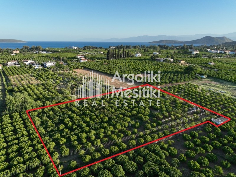 Αγροτεμάχια 5.000 τ.μ. για πώληση, Αργολίδα, Ασίνη