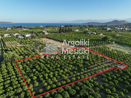 Αγροτεμάχια 5.000 τ.μ. για πώληση