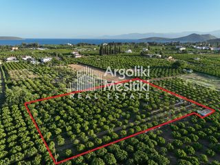 Αγροτεμάχια 5.000 τ.μ. για πώληση