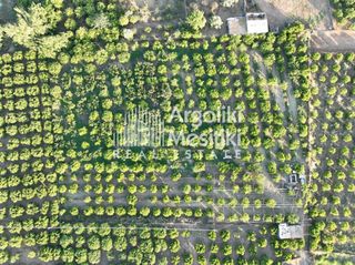 Αγροτεμάχια 5.000 τ.μ. για πώληση, Αργολίδα, Ασίνη-thumb-21
