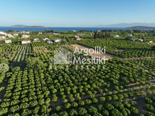 Αγροτεμάχια 5.000 τ.μ. για πώληση, Αργολίδα, Ασίνη-thumb-17