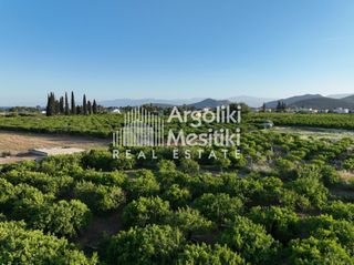 Αγροτεμάχια 5.000 τ.μ. για πώληση, Αργολίδα, Ασίνη-thumb-19