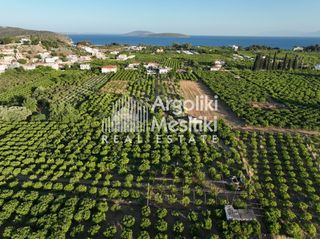 Αγροτεμάχια 5.000 τ.μ. για πώληση, Αργολίδα, Ασίνη-thumb-11