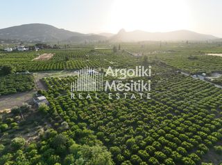 Αγροτεμάχια 5.000 τ.μ. για πώληση, Αργολίδα, Ασίνη-thumb-16