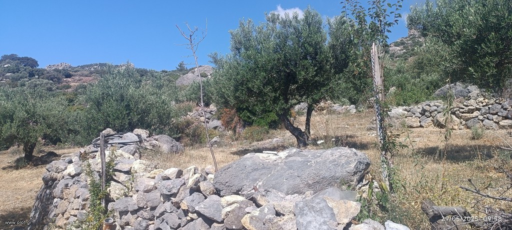 Αγροτεμάχια 4.000 τ.μ. πρός πώληση, Ν. Λασιθίου, Ιεράπετρα