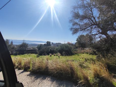 Αγροτεμάχια 260 τ.μ. για πώληση