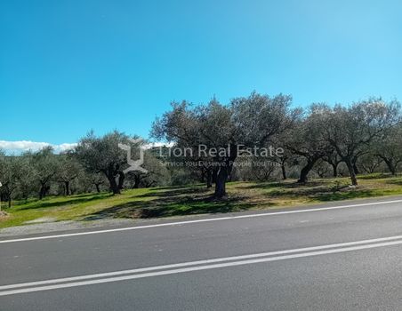 Αγροτεμάχια 18.000 τ.μ. για πώληση