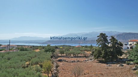 Οικόπεδο 2.000 τ.μ. για πώληση