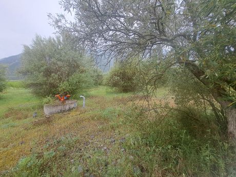 Parcel 18.500sqm for sale-Ipati » Kompotades
