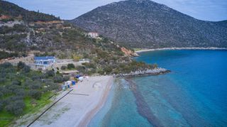 Αγροτεμάχια 5.138 τ.μ. για πώληση, Αρκαδία, Λεωνίδιο-thumb-8