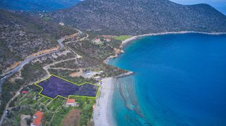 Αγροτεμάχια 5.138 τ.μ. για πώληση, Αρκαδία, Λεωνίδιο-thumb-3