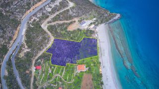 Αγροτεμάχια 5.138 τ.μ. για πώληση, Αρκαδία, Λεωνίδιο-thumb-4