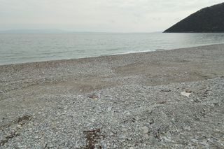 Αγροτεμάχια 5.138 τ.μ. για πώληση, Αρκαδία, Λεωνίδιο-thumb-16