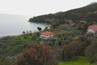 Αγροτεμάχια 5.138 τ.μ. για πώληση, Αρκαδία, Λεωνίδιο-thumb-19