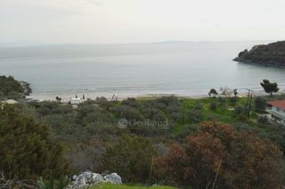Αγροτεμάχια 5.138 τ.μ. για πώληση, Αρκαδία, Λεωνίδιο-thumb-22