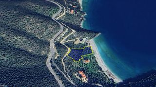 Αγροτεμάχια 5.138 τ.μ. για πώληση, Αρκαδία, Λεωνίδιο-thumb-17