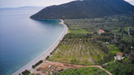 Αγροτεμάχια 12.333τ.μ. για πώληση-Απόλλωνας » Παραλία τυρού