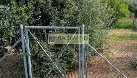 Οικόπεδο 204τ.μ. για πώληση-Παλλήνη