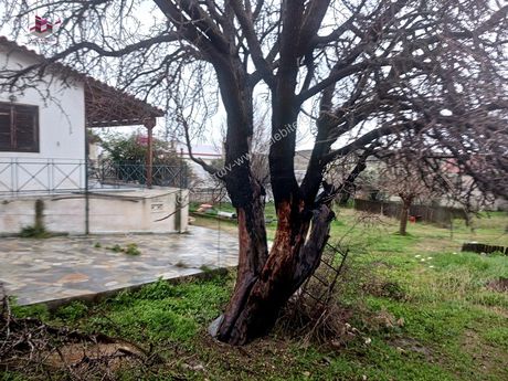 Detached home 63sqm for sale-Anavissos » Anavyssos Center