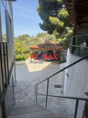 Μονοκατοικία 280 τ.μ. για πώληση, Αργολίδα, Ερμιόνη-thumb-21